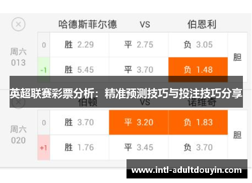 英超联赛彩票分析：精准预测技巧与投注技巧分享